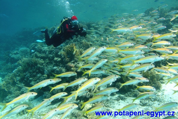 Hurghada, Gota Abu Ramada