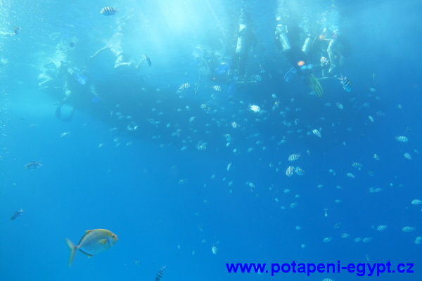 Hurghada, Fanadir North