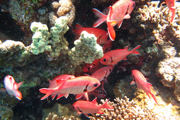 Hurghada