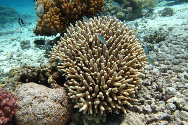 Hurghada