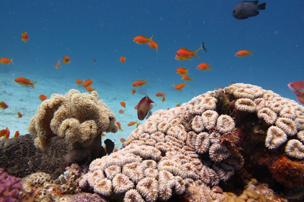 Hurghada