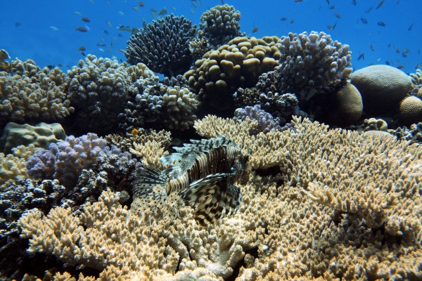 Hurghada