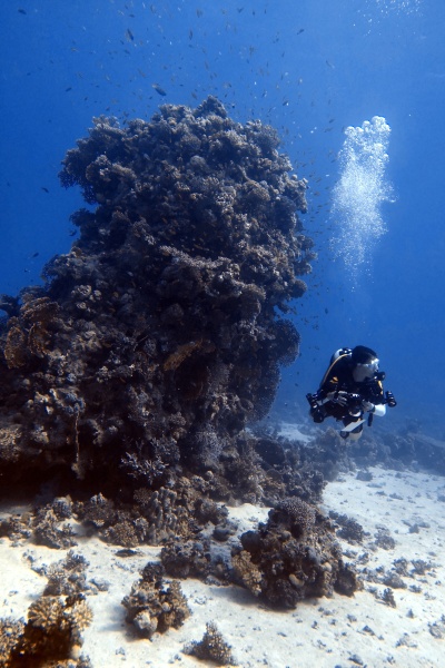 Hurghada