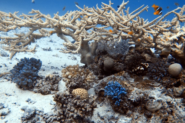 Hurghada
