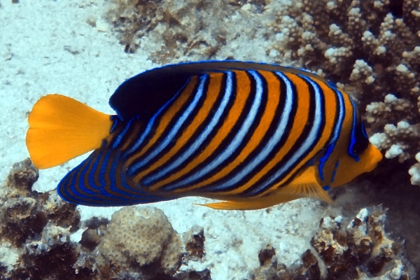 Hurghada