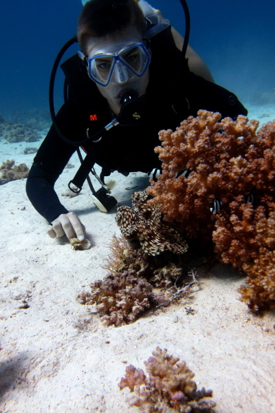 Hurghada