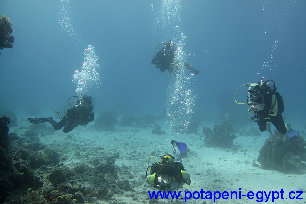 Hurghada, Gota Abu Ramada - Pilníkotrnec / Leatherjacket fish